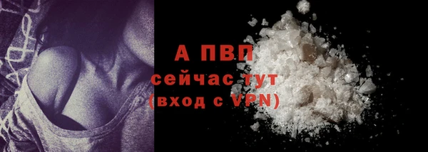 тгк Горно-Алтайск