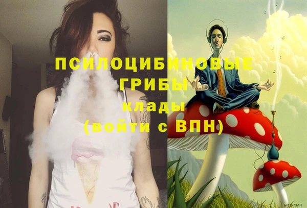 MDMA Горнозаводск