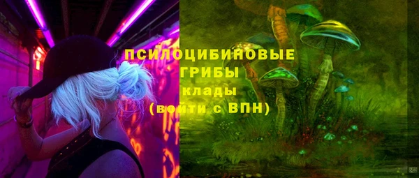 MDMA Горнозаводск