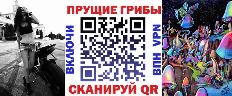 Псилоцибиновые грибы GOLDEN TEACHER  Купить закладки  Мещовск 