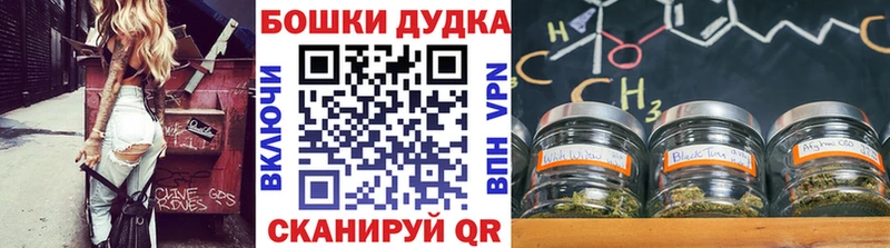 Купить закладки  Мещовск  Марихуана план 